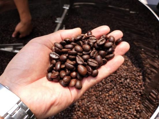 [TIN TỨC] - Áp lực nguồn cung, giá cà phê xuất khẩu tiếp tục tăng vọt gần 3,9%