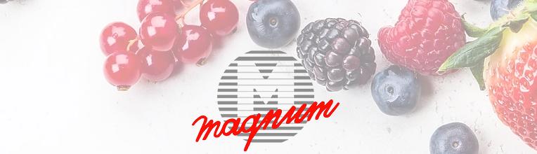 [ĐỐI TÁC INDOCHINA HOLDINGS] – Magnum Asia Limited