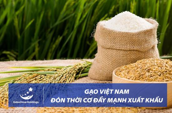[TIN TỨC] - Cơ hội để gạo Việt Nam phát triển mạnh sang quốc tế