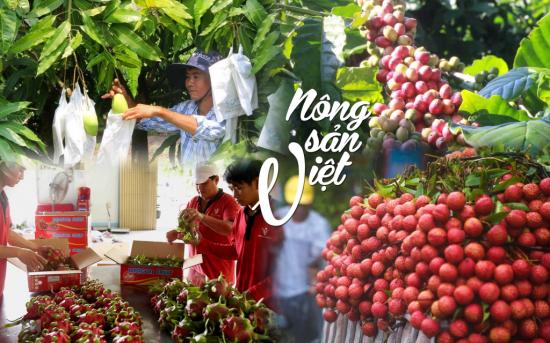 [TIN TỨC] - Tại sao nông sản Việt chưa có thương hiệu tại EU?